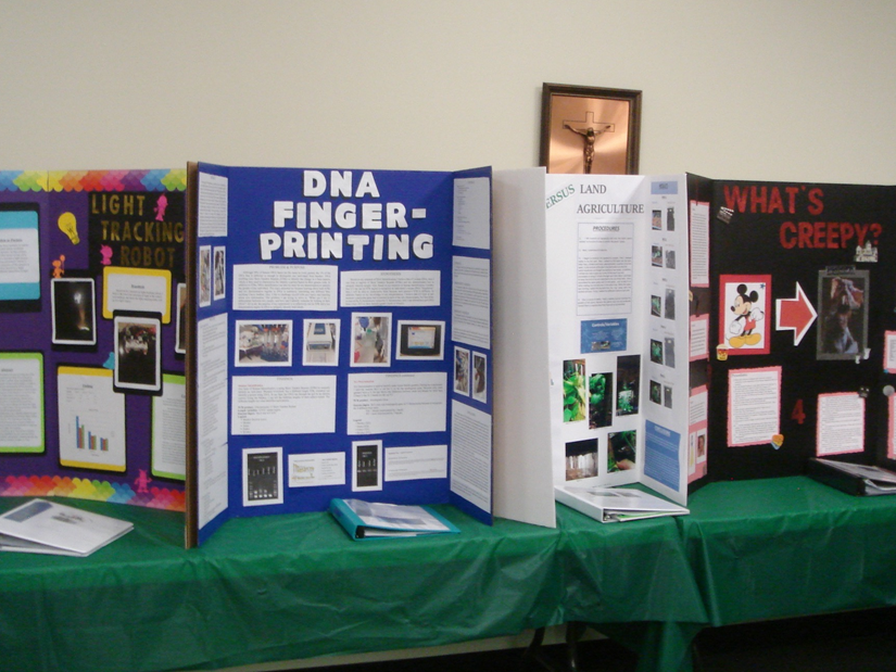 Congratulations, Science Fair Winners